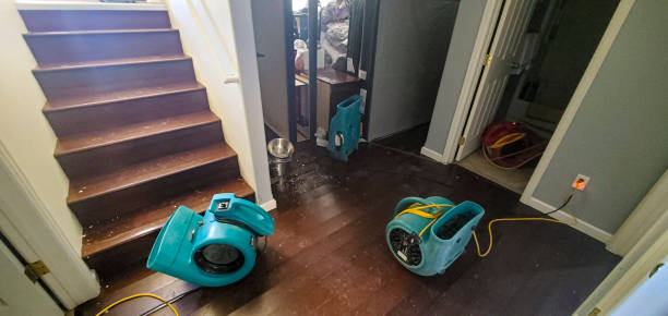 Best Water damage restoration services  in USA